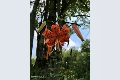 4 Birch Hill Rd, Peru, MA 01235 - Photo 55