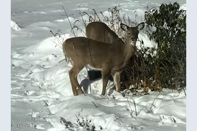 4 Birch Hill Rd, Peru, MA 01235 - Photo 57