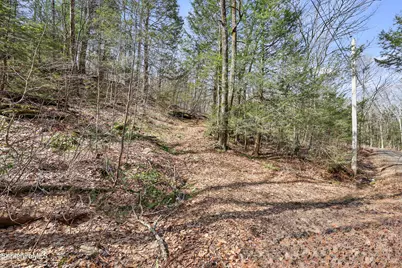 Lot #6 Hemlock Rd, Tyringham, MA 01264 - Photo 3