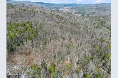 Lot #6 Hemlock Rd, Tyringham, MA 01264 - Photo 11