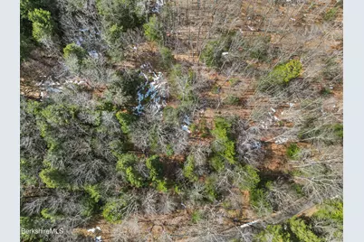 Lot #6 Hemlock Rd, Tyringham, MA 01264 - Photo 7