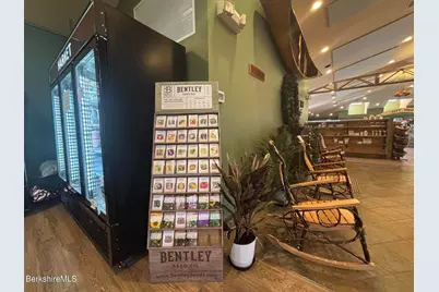 20 Williamstown Rd, Lanesborough, MA 01237 - Photo 25