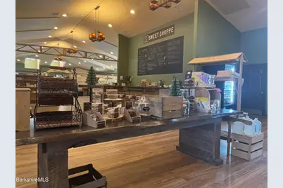 20 Williamstown Rd, Lanesborough, MA 01237 - Photo 19