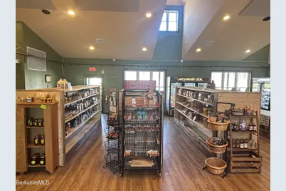 20 Williamstown Rd, Lanesborough, MA 01237 - Photo 41