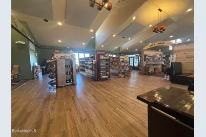 20 Williamstown Rd, Lanesborough, MA 01237 - Photo 29