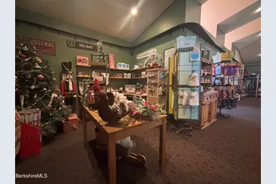 20 Williamstown Rd, Lanesborough, MA 01237 - Photo 49