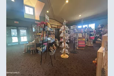 20 Williamstown Rd, Lanesborough, MA 01237 - Photo 35