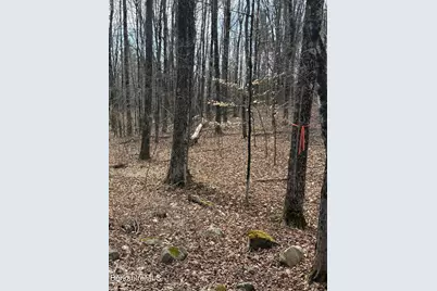 0 George Schnopp Rd, Hinsdale, MA 01235 - Photo 3