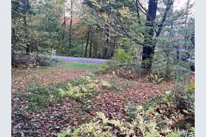 0 Stryker Road, Florida, MA 01247 - Photo 5