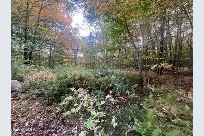 0 Stryker Road, Florida, MA 01247 - Photo 3