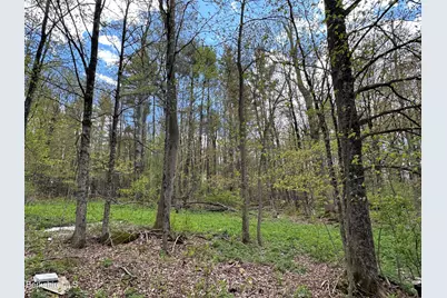 2447 State Rd, Richmond, MA 01254 - Photo 11