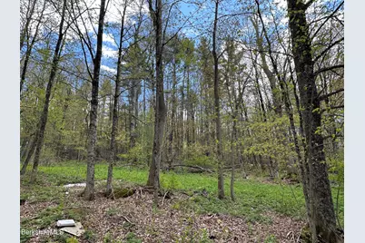 2447 State Rd, Richmond, MA 01254 - Photo 13