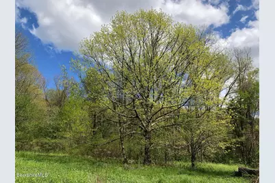 0 Lenox Rd, West Stockbridge, MA 01266 - Photo 7