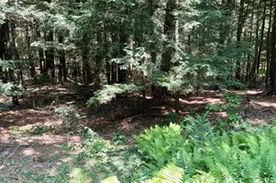 759 E North Main Rd, Otis, MA 01253 - Photo 21