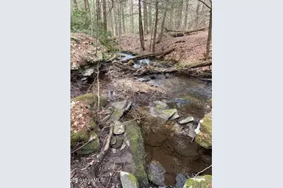 2110 West Center Rd, Otis, MA 01253 - Photo 31