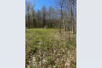 132 Cascade St, Pittsfield, MA 01201 - Photo 5