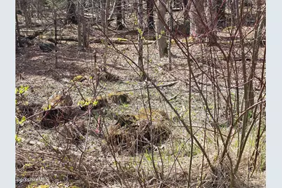 Jacobs Ladder Rd, Becket, MA 01223 - Photo 5