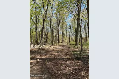 752 State Rd, Richmond, MA 01254 - Photo 63