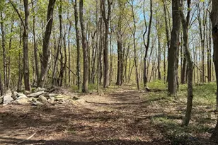 752 State Rd, Richmond, MA 01254 - Photo 63