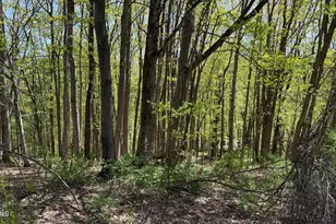 Lots 2A&3A Reservoir Rd, North Adams, MA 01247 - Photo 1