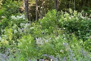 63 Sherwood Dr, Lenox, MA 01240 - Photo 47