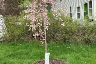 93 North St, North Adams, MA 01247 - Photo 33