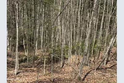 141 Stage Rd, Cummington, MA 01026 - Photo 21