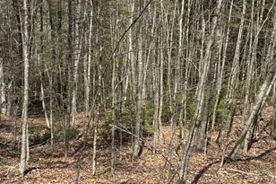 141 Stage Rd, Cummington, MA 01026 - Photo 21