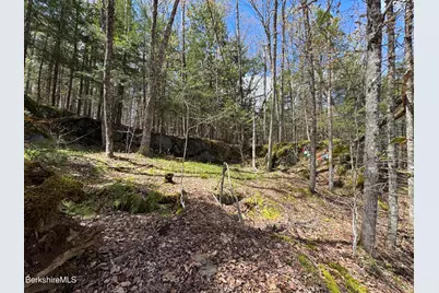141 Stage Rd, Cummington, MA 01026 - Photo 23