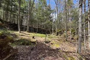 141 Stage Rd, Cummington, MA 01026 - Photo 23
