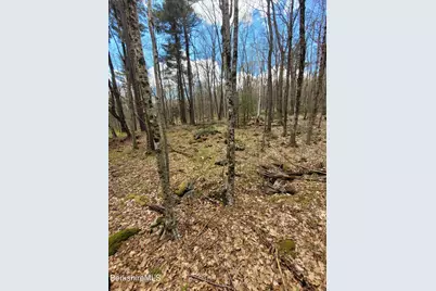 Lot 3 Town Hill Rd, Sandisfield, MA 01255 - Photo 7