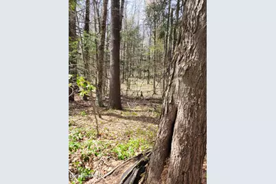 Lot 3 Town Hill Rd, Sandisfield, MA 01255 - Photo 11