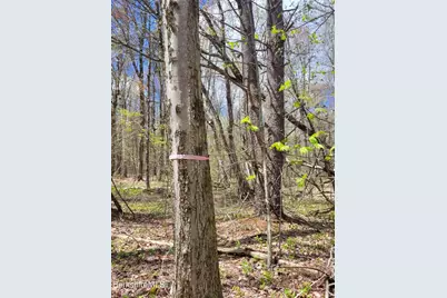 Lot 3 Town Hill Rd, Sandisfield, MA 01255 - Photo 13