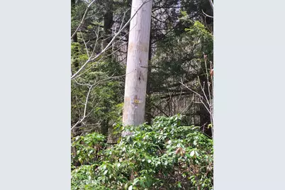 Lot 3 Town Hill Rd, Sandisfield, MA 01255 - Photo 3