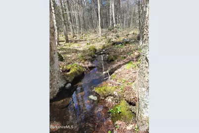 Lot 3 Town Hill Rd, Sandisfield, MA 01255 - Photo 9