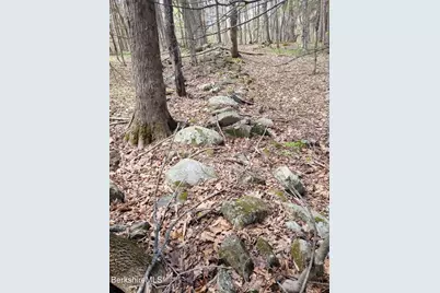 Lot 3 Town Hill Rd, Sandisfield, MA 01255 - Photo 5
