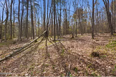 475 West Rd, Clarksburg, MA 01247 - Photo 39
