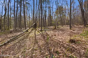 475 W Rd, Clarksburg, MA 01247 - Photo 39