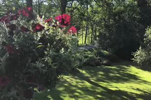 167 Bailey Rd, Lanesborough, MA 01237 - Photo 57