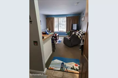 37 Corey Rd #521, Hancock, MA 01237 - Photo 5