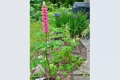 230 Middle Rd, Austerlitz, NY 12017 - Photo 27