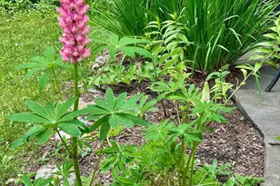 230 Middle Rd, Austerlitz, NY 12017 - Photo 27