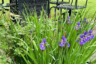230 Middle Rd, Austerlitz, NY 12017 - Photo 23
