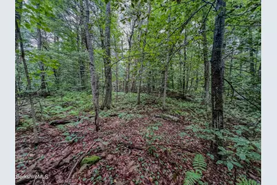 Lot9 Johnson Rd, Becket, MA 01223 - Photo 5