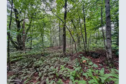 Lot9 Johnson Rd, Becket, MA 01223 - Photo 7