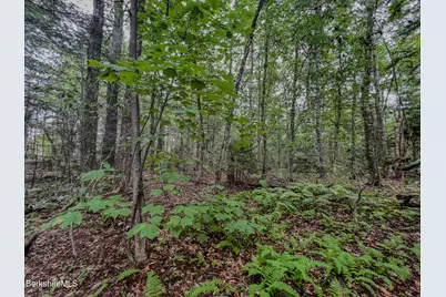Lot9 Johnson Rd, Becket, MA 01223 - Photo 13