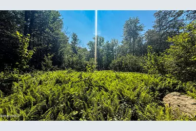 233 Algerie Rd, Becket, MA 01223 - Photo 41