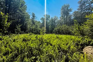 233 Algerie Rd, Becket, MA 01223 - Photo 41