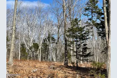 88 Church Rd, Florida, MA 01247 - Photo 9