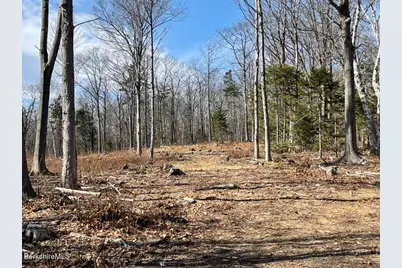 88 Church Rd, Florida, MA 01247 - Photo 7